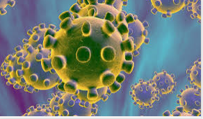 Hamstergedrag en rellen over WC-papier. Het coronavirus motiveert ons tot extreem gedrag. Waarom?